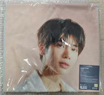 txt act:tomorrow 태현 빅 사진 타월