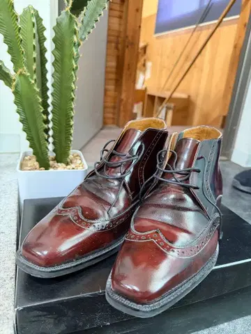 앤티크 클리닝스 드레스 신발 26.5EEE