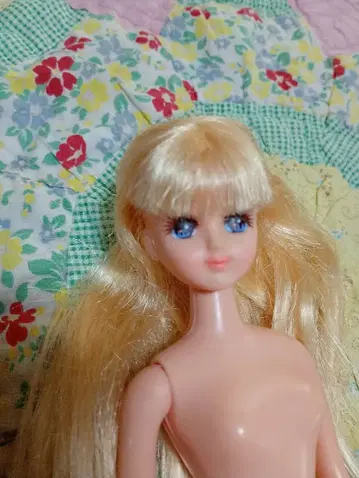 플로라 쨩 제니의 친구 구 타카라