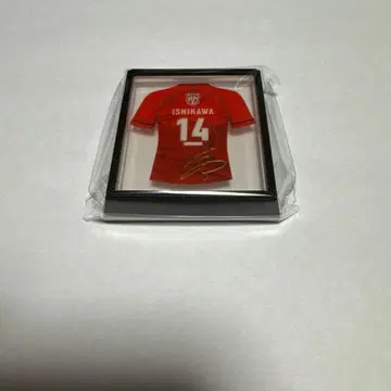 배구 남자 일본 대표 마그넷 이시카와