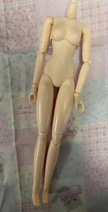 가동 바디 오비츠