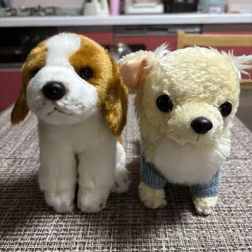 강아지 봉제 인형 세트