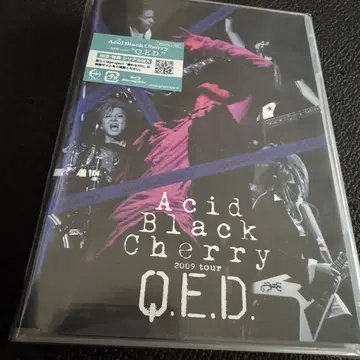 Acid Black Cherry/2009 tour "Q.E.D."