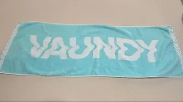 VAUNDY 로고 타월 스카이블루