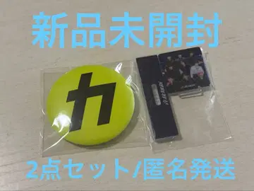 SnowMan 앨범 온고지신 카리스마 맥스 캔뱃지&아크릴 스탠드