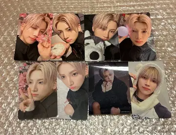 [ 묶음 판매 ] &TEAM 설백 YUMA 유마 트레이딩 카드 혜택 세트