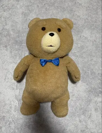 Ted 테드 봉제 인형