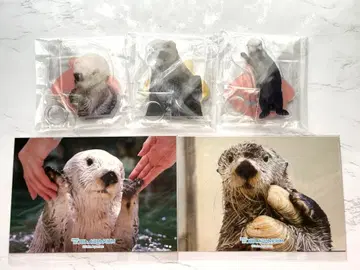 캡슐 복권 토바 수족관 랏코의 메이짱 복권 리턴즈! 5종 묶음 판매