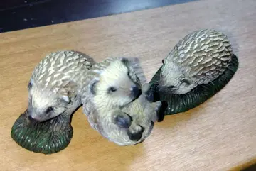 슐라이히 피규어 고슴도치 hedgehog