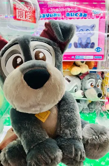 #미사용#카드놀이#우들스토리#디즈니#Disney#봉제 인형#우루리