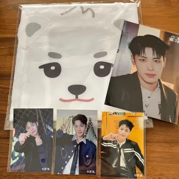 NEXZ 하루 에코백 랜트레 스티커 포함