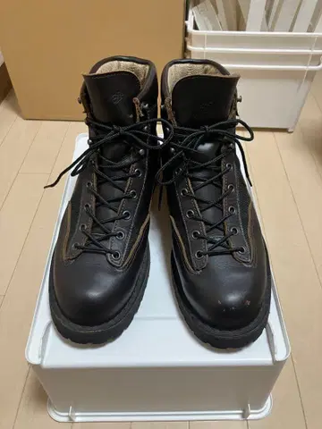 다너 라이트3 III 33222 10EE Danner