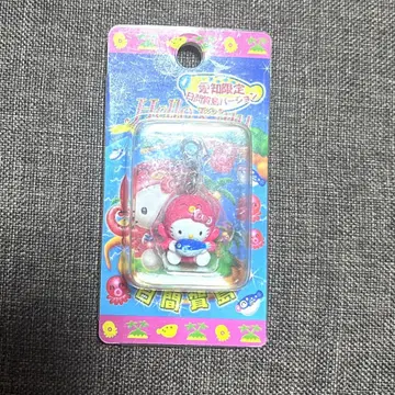 헬로키티 아이치 한정판 히마카지마 참