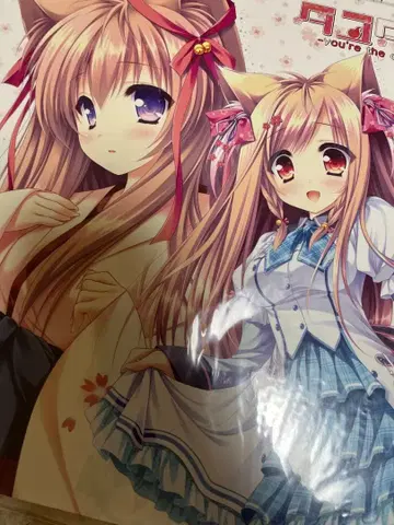 집합 색지 바인더 타유타마2 -you're the only one-