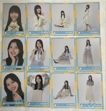 히나타자카46 코니시 나나미 브로마이드 묶음 판매