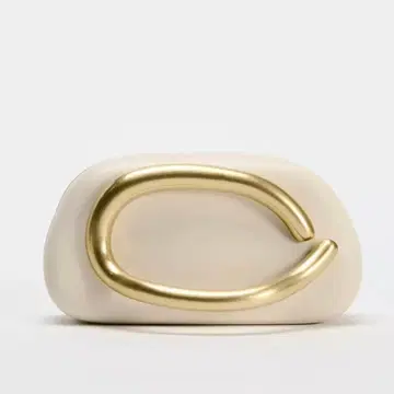 ZARA 골드 클로징 박스 백