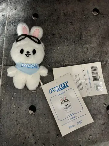 StrayKids pilot 리노 Leebit 리빗 솜인형