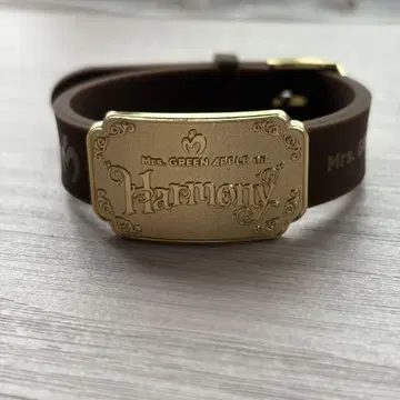 Mrs. GREEN APPLE Harmony 러버 밴드