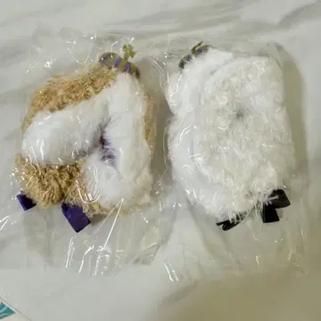 오키가에 판초 로얄 곰돌이