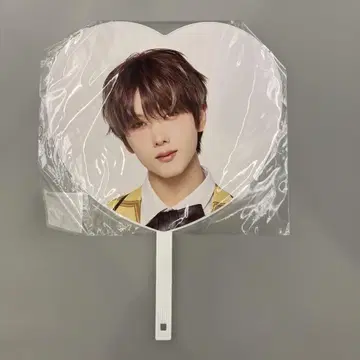 nct dream dreamies wonderland 지성 부채