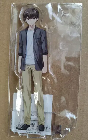 타카하라 하토리 아크릴 피규어 서머 포켓