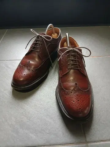 스코치 그레인 히로카와 제화 풀 브로그 외날개 25cm 다크 브라운