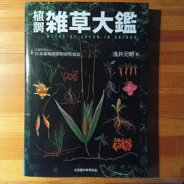 잡초 대감 아사이 모토로 저