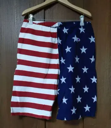 Champion 숏팬츠 L 사이즈 reverse weave