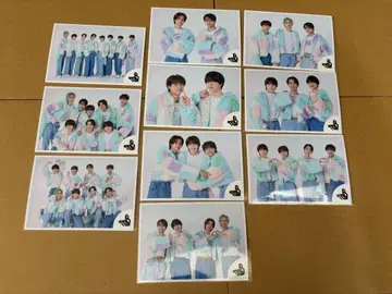 EBiDAN THE LIVE 2025 TOYSx 브로마이드 컴프