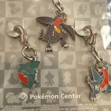 포켓몬 전국 도감 메탈 참