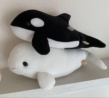 가모가와 씨월드 봉제 인형 흰돌고래 & 범고래