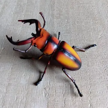 톱사슴벌레 피규어