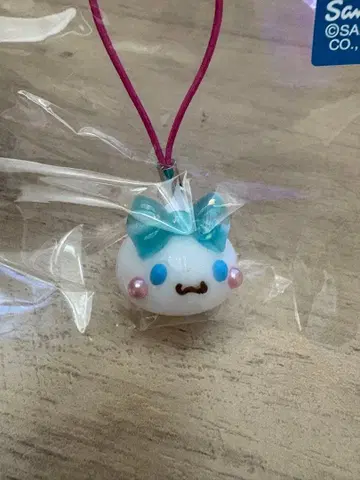 홋페짱 x 시나몬