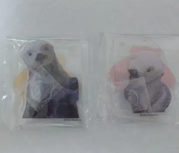 캡슐 복권 랏코의 메이짱 복권 아크릴 펜 스탠드 키라 메이