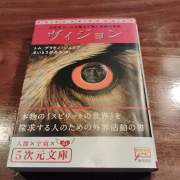 비전 : 차원의 베일을 넘어 본 지구의 미래