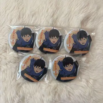 하이큐 캔뱃지 각각의 아침 카게야마 토비오