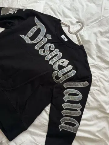 디즈니랜드 스피자