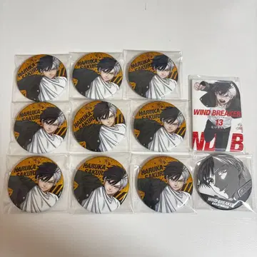 윈드 브레이커 전시회 사쿠라 하루카 캔뱃지 묶음 판매