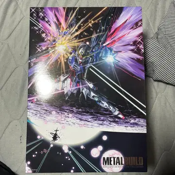 metalbuild 데스티니 건담 풀 패키지