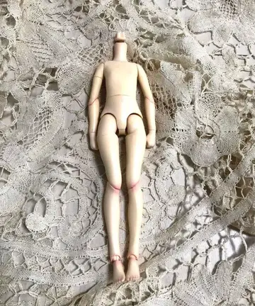 네오 브라이스 커스텀 브라이스 바디 퓨어니모s