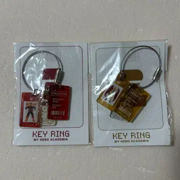 히로아카 엔데버 호크스 3연 키링