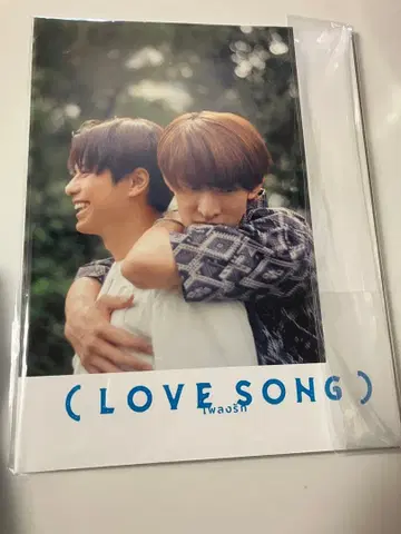 영화 ( LOVE SONG ) 러브송 팜플렛 모리사키 윈 무카이 코지