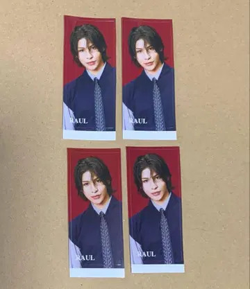 Raul 라울 스티커 온고지신 Snow MAN