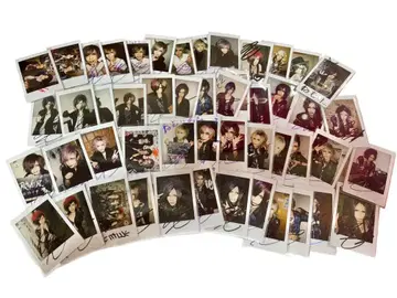 Royz  폴라로이드