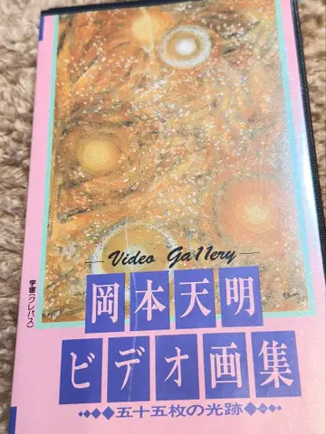 오카모토 테이메이 비디오 화집 VHS
