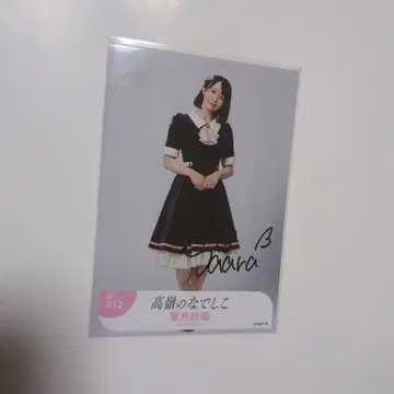 타카네노 나데시코 하즈키 사라 직필 사진