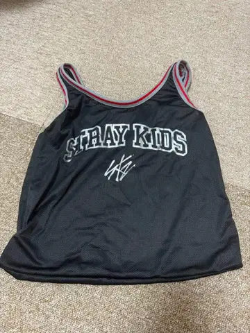 straykids 에코파 스타디움 업그레이드