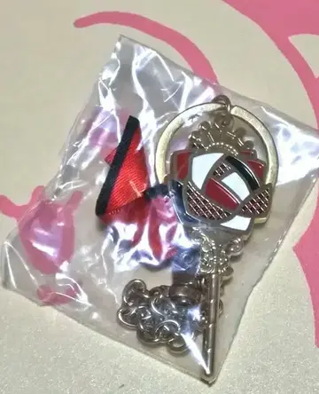 트위스테 제일 백 리들 백참