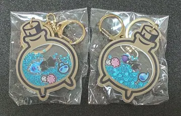 트위스테 별의 조각 참 이데아 오르토