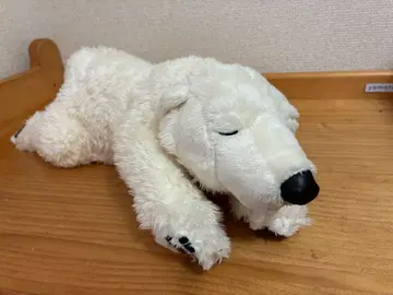 카롤라타 북극곰 봉제 인형 오야스미 시리즈 40cm 북극곰